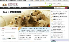 宠物网站,构建宠物爱好者交流与服务平台的新篇章