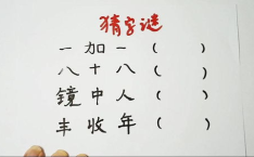 镜中人打一字谜答案,揭秘‘镜中人字谜的趣味解答”