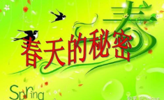 描写春天的好句好段摘抄大全,诗意描绘春天的佳句撷英